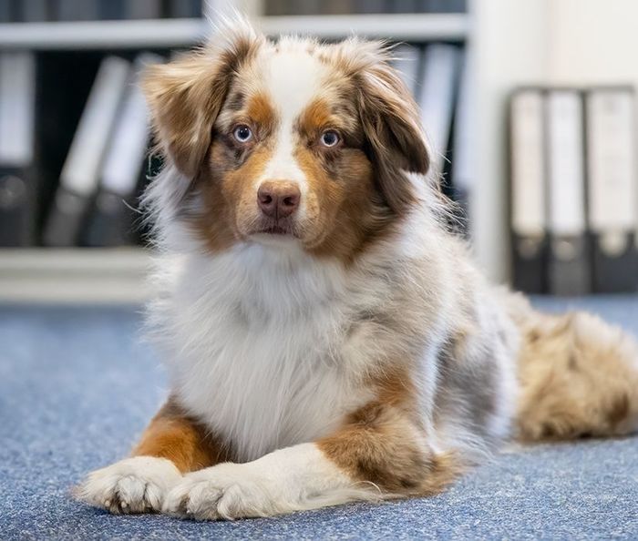 Ansprechpartnerin Yuna Ansprechpartnerin Yuna